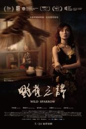Wild Sparrow (2020) Wild Sparrow (2020)