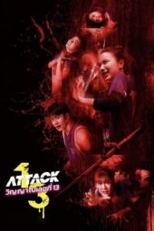 Attack 13 (2025)