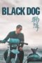 Black Dog (2024)
