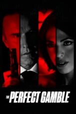 The Perfect Gamble (2025)