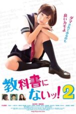 Not in Textbooks 2 (2016)