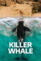 Killer Whale (2026)